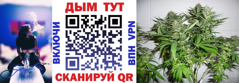 закладка  Люберцы  Бошки марихуана VHQ 